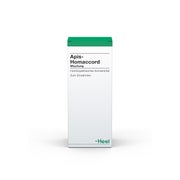Produktabbildung: APIS Homaccord Liquid 100 ml