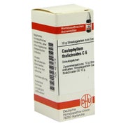 Produktabbildung: Caulophyllum Thalictroides C 6 Globuli 10 g
