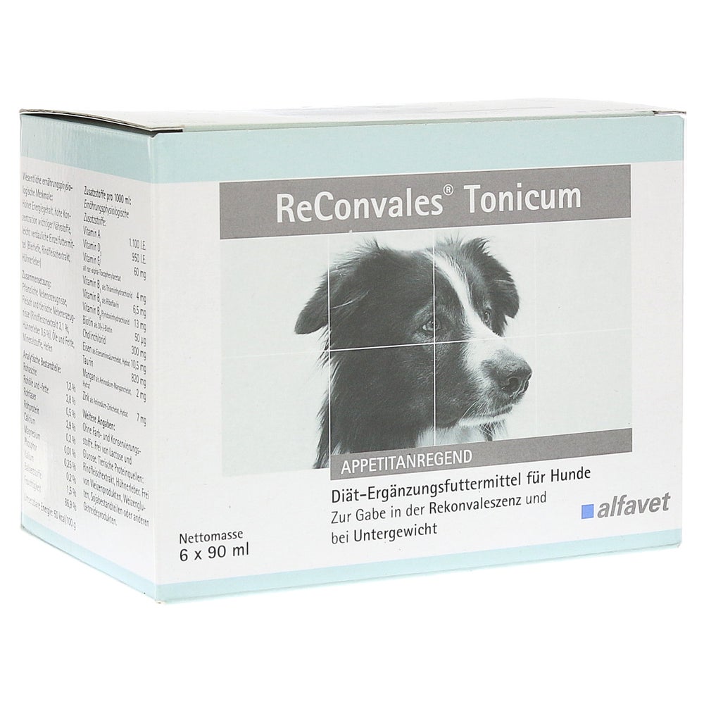 Reconvales Tonicum Hunde 6X90 ml