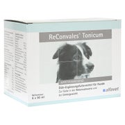 Produktabbildung: Reconvales Tonicum Hunde 6X90 ml