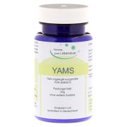 Produktabbildung: Yamswurzel Pulver 50 g