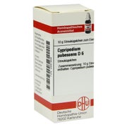Produktabbildung: Cypripedium Pubescens D 6 Globuli 10 g