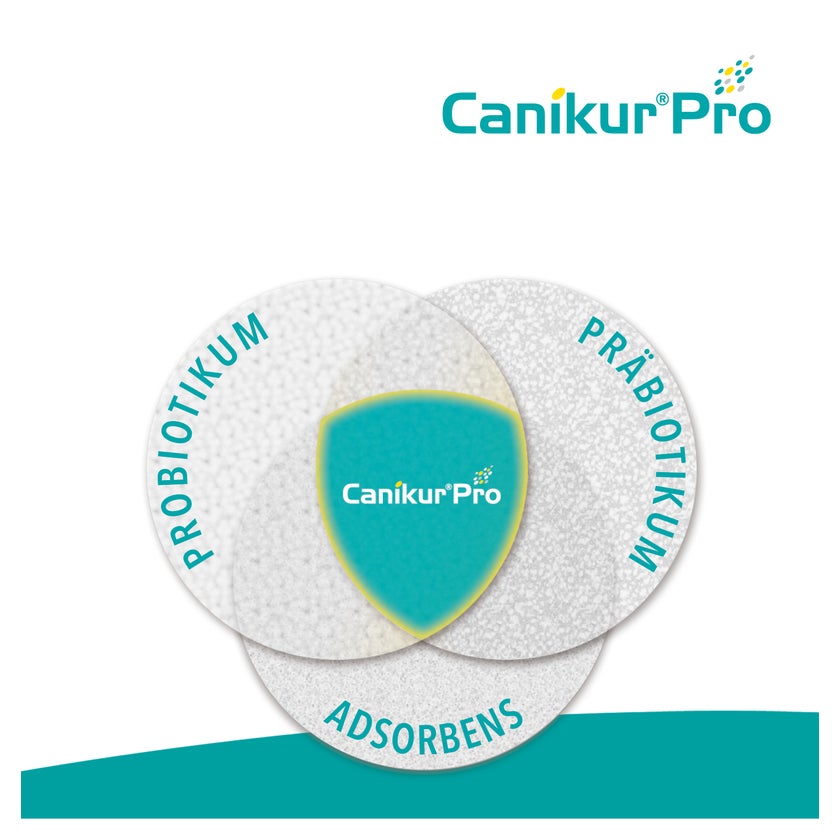 Canikur Pro Hund und Katze 60 ml