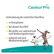 Canikur Pro Hund und Katze 60 ml