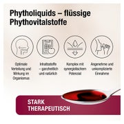 Cherry PLUS US-Montmorency-Sauerkirsch-Konzentrat 3X500 ml