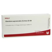 Produktabbildung: Glandula Suprarenales Cortex GL D 6 Ampu 10X1 ml