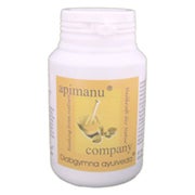 Apimanu Diabgymna Ayurveda Kapseln 240 St