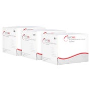 TESTOGEL 50 mg transdermales Gel im Beutel 3X30 St