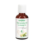 Produktabbildung: Sauna Aufguss Konzentrat Lemongras 50 ml
