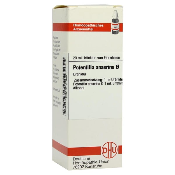 Potentilla Anserina Urtinktur 20 ml