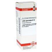 Produktabbildung: Luffa Operculata D 12 Dilution 20 ml