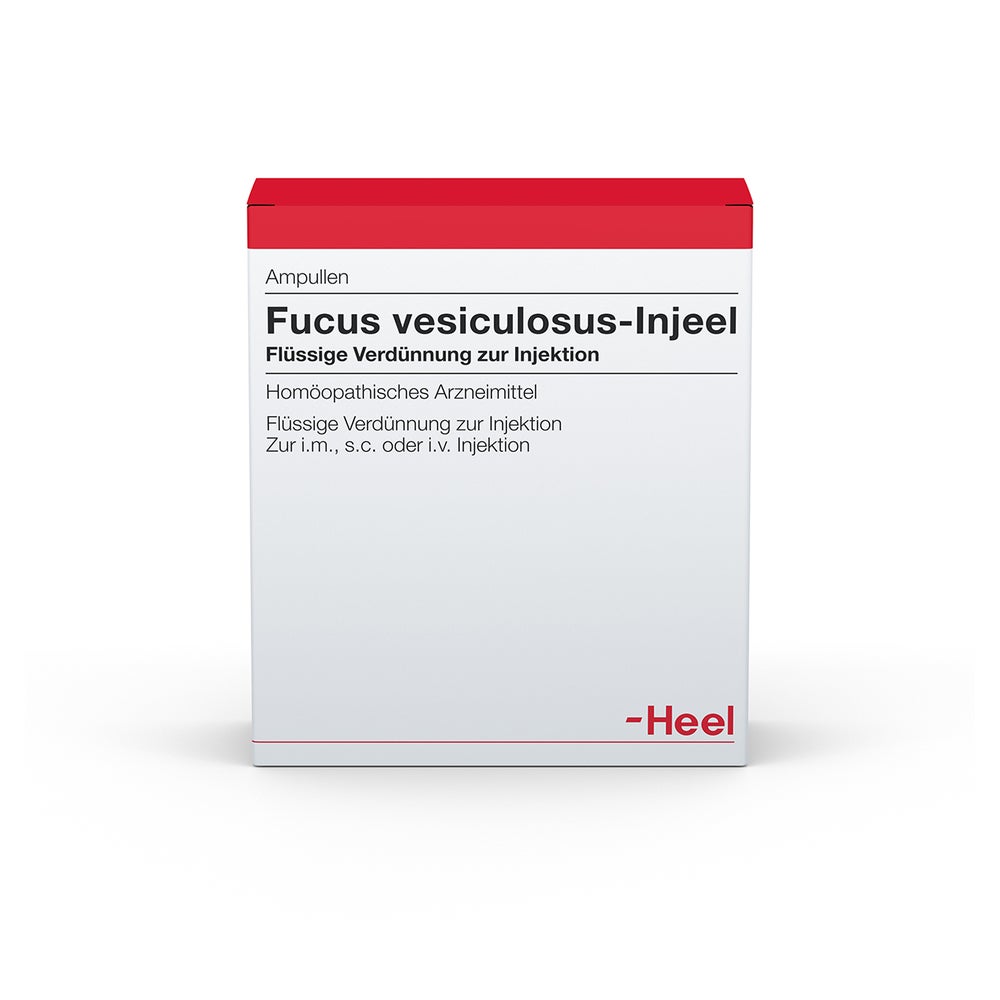 Fucus Vesiculosus Injeel Ampullen 10 St