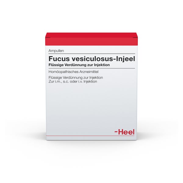 Fucus Vesiculosus Injeel Ampullen 10 St