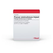 Produktabbildung: Fucus Vesiculosus Injeel Ampullen 10 St