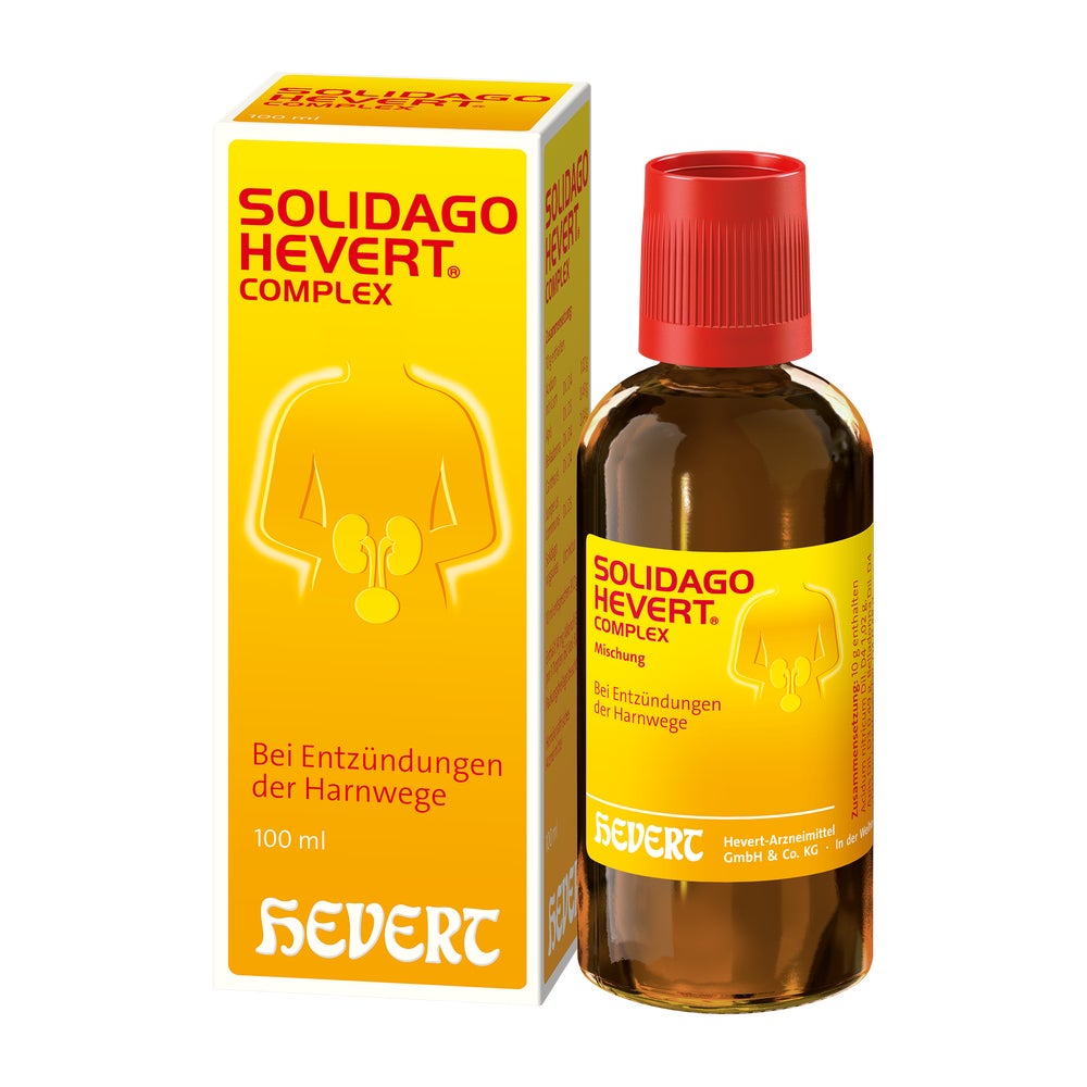 Solidago Hevert Complex Tropfen 100 ml