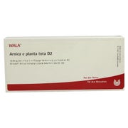 Produktabbildung: Arnica E Planta tota D 2 Ampullen 10X1 ml