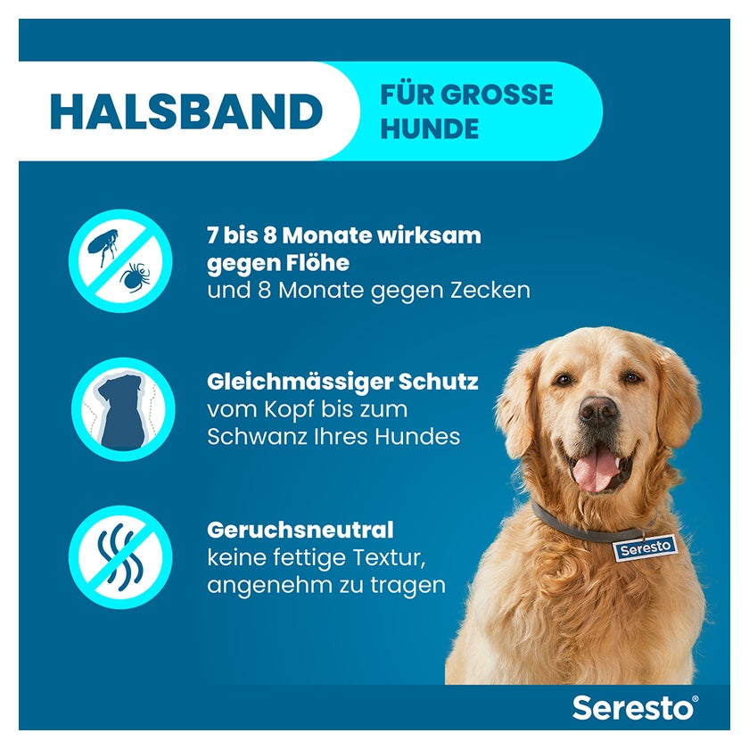Seresto Halsband für große Hunde > 8 kg 1 St