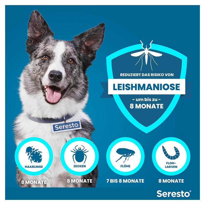Seresto Halsband für große Hunde > 8 kg 1 St