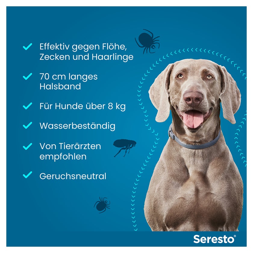Seresto Halsband für große Hunde > 8 kg 1 St