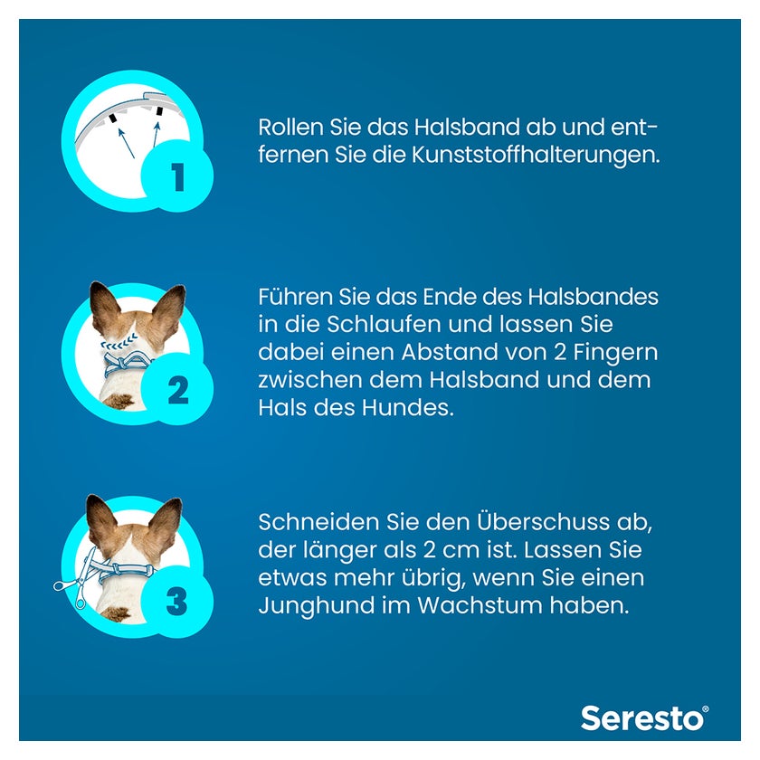 Seresto Halsband für große Hunde > 8 kg 1 St