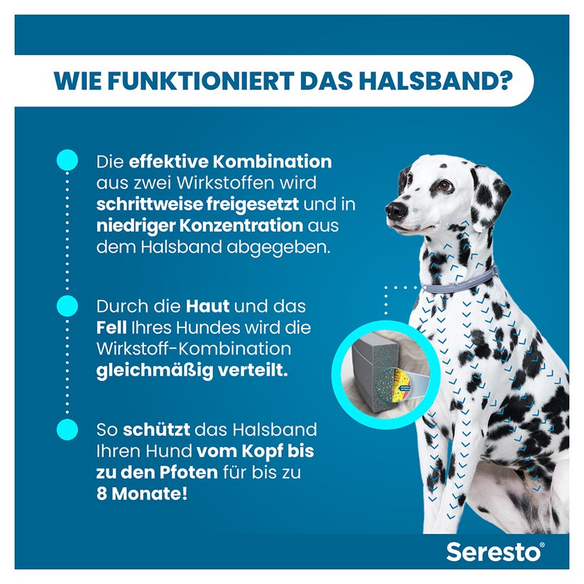 Seresto Halsband für große Hunde > 8 kg 1 St
