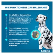 Seresto Halsband für große Hunde > 8 kg 1 St