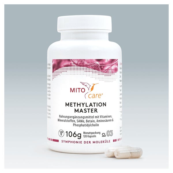 Methylation Master 120 St