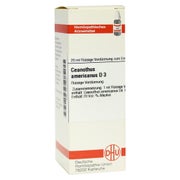 Ceanothus Americanus D 3 Dilution 20 ml