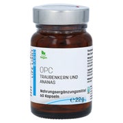 Produktabbildung: OPC 200 mg Kapseln 60 St