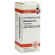 Produktabbildung: Millefolium D 6 Globuli 10 g