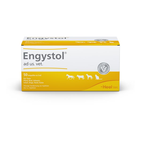 Engystol ad Us.vet.ampullen 50 St