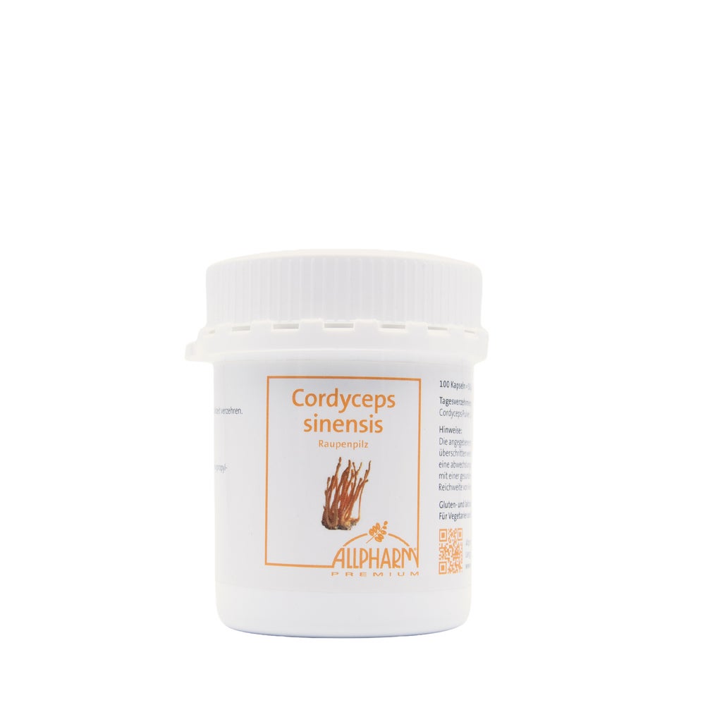 Cordyceps Sinensis Kapseln 100 St