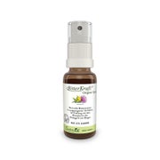 Produktabbildung: BitterKraft! Original, BIO Spray 20 ml