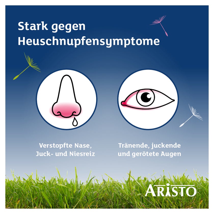 Desloratadin Aristo 5mg  Antihistaminikum 100 St