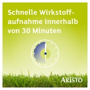 Desloratadin Aristo 5mg  Antihistaminikum 100 St