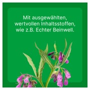 Zeel ad us. vet. Tierarznei 100 St