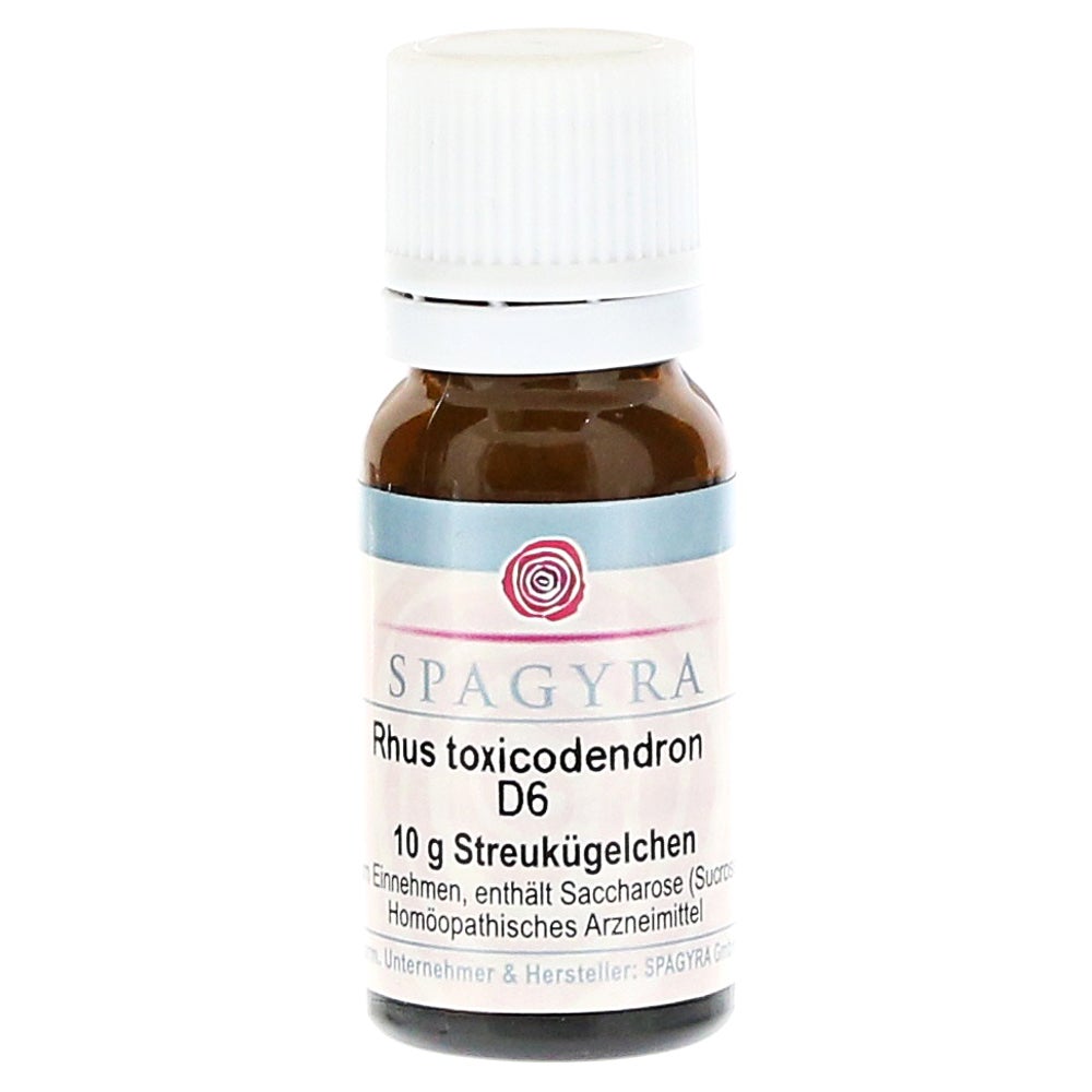 RHUS Toxicodendron D 6 Globuli 10 g
