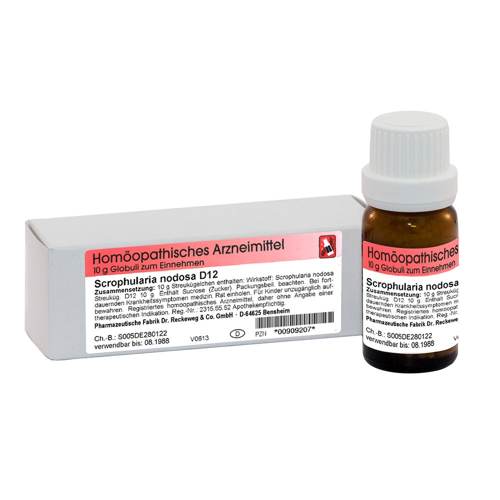 Dr. Reckeweg Scrophularia Nodosa D12 Globuli 10 g