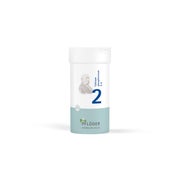 Produktabbildung: Biochemie Pflüger Schüßler-Salz Nr. 2 Calcium phosp. D6 100 g