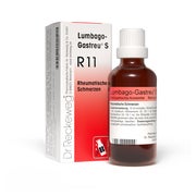Produktabbildung: Dr. Reckeweg Lumbago-Gastreu S R11 22 ml