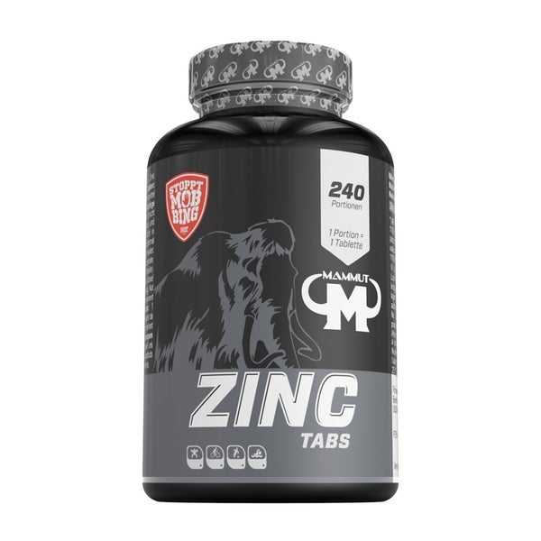 Mammut Zinc Tabs 240 St
