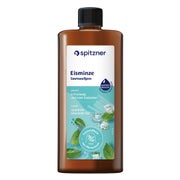 SAUNAAUFGUSS EISMINZE 1000 ml
