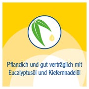 Pinimenthol Erkältungsbalsam mild 50 g