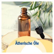 Pinimenthol Erkältungsbalsam mild 50 g
