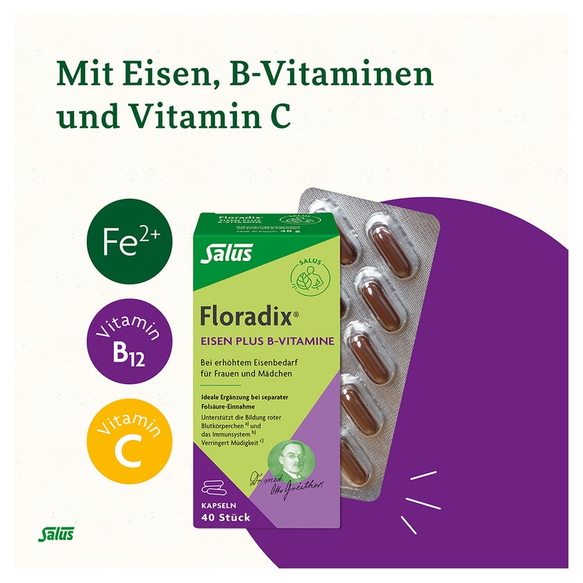 Floradix Eisen plus B-Vitamine Kapseln 40 St