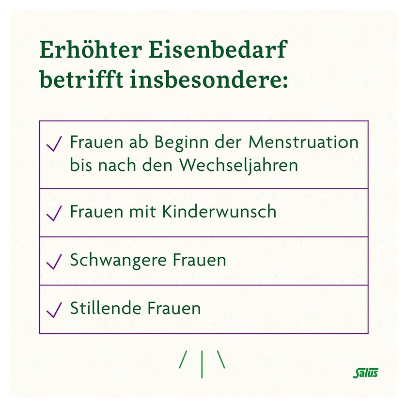 Floradix Eisen plus B-Vitamine Kapseln 40 St