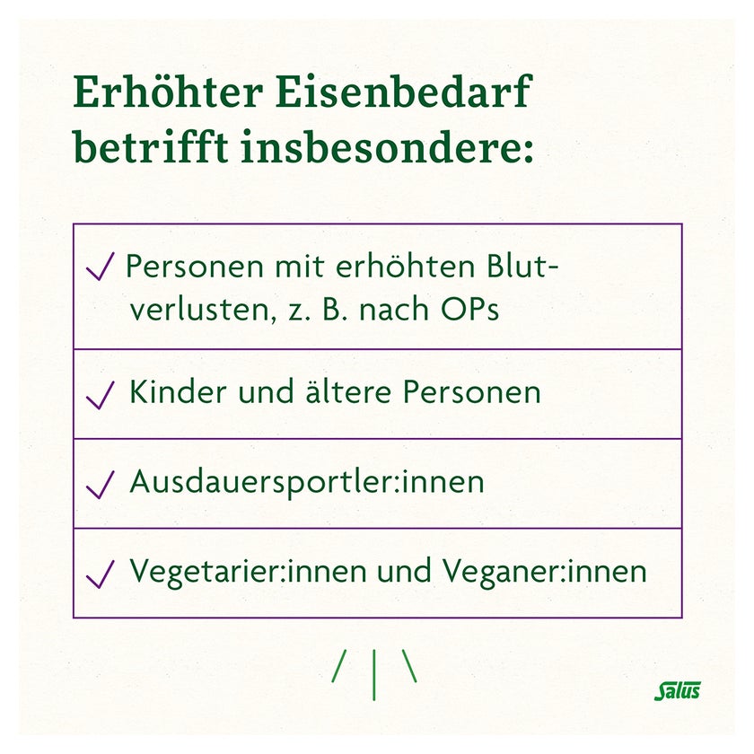 Floradix Eisen plus B-Vitamine Kapseln 40 St