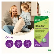Floradix Eisen plus B-Vitamine Kapseln 40 St