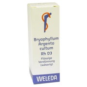 Bryophyllum Argento Cultum Rh D 3 Diluti 20 ml