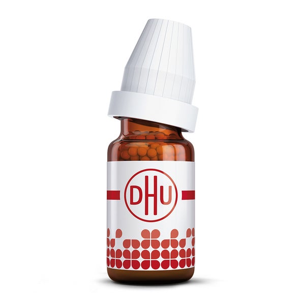 Absinthium D 6 Globuli 10 g
